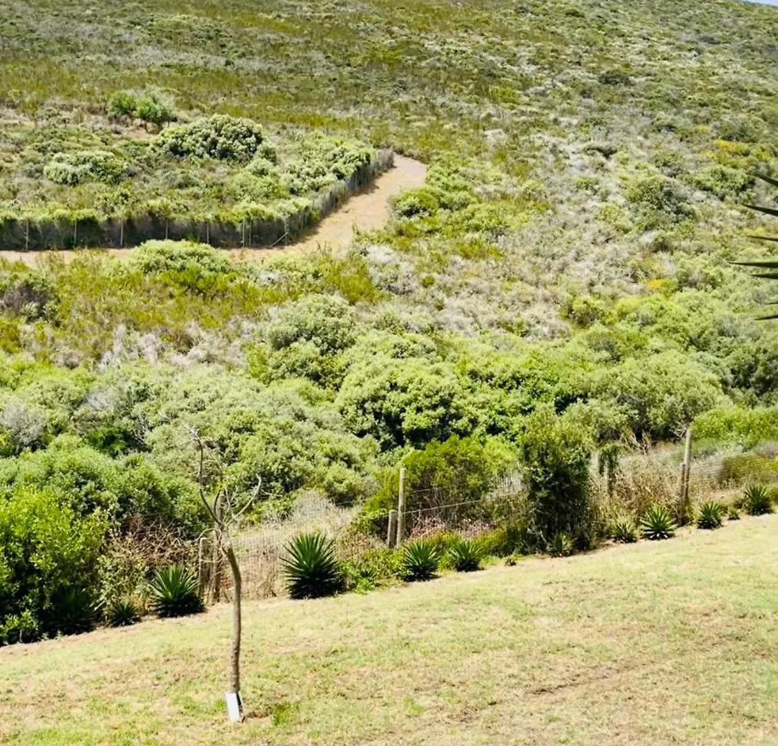 Villa Hotel Vibes Cape Town Plattekloof South Africa